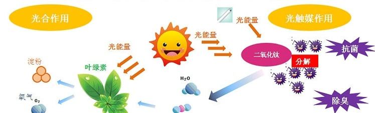 影響光觸媒除甲醛的產(chǎn)品及價(jià)格因素