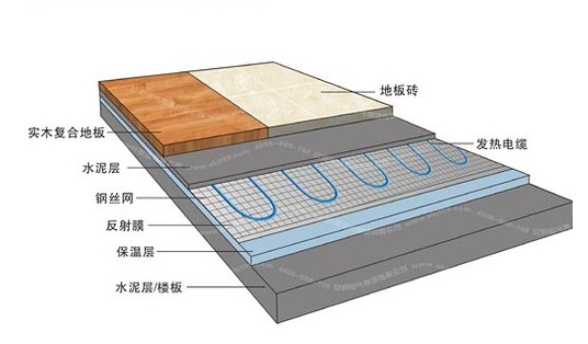 冬季，它們成了甲醛的幫兇