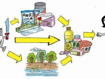 食品中有塑化劑嗎？這些食品中含有大量塑化劑，食用時(shí)一定要注意！