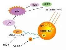 現(xiàn)在光觸媒的價(jià)格是多少？