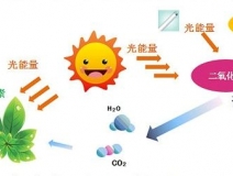 光觸媒去除房間甲醛爭(zhēng)議很大？