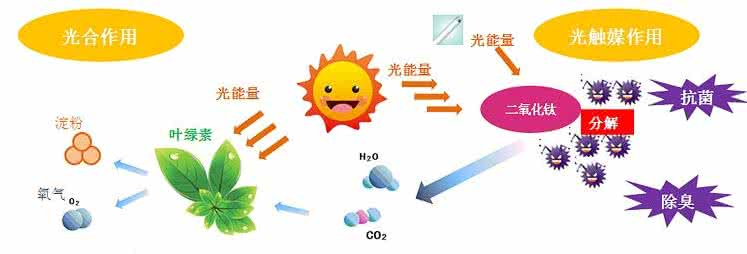 家中甲醛超標，什么才是甲醛治理的正確姿勢？